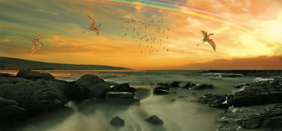 seagulls are flying low to the ground on a beach with rocks under a rainbow