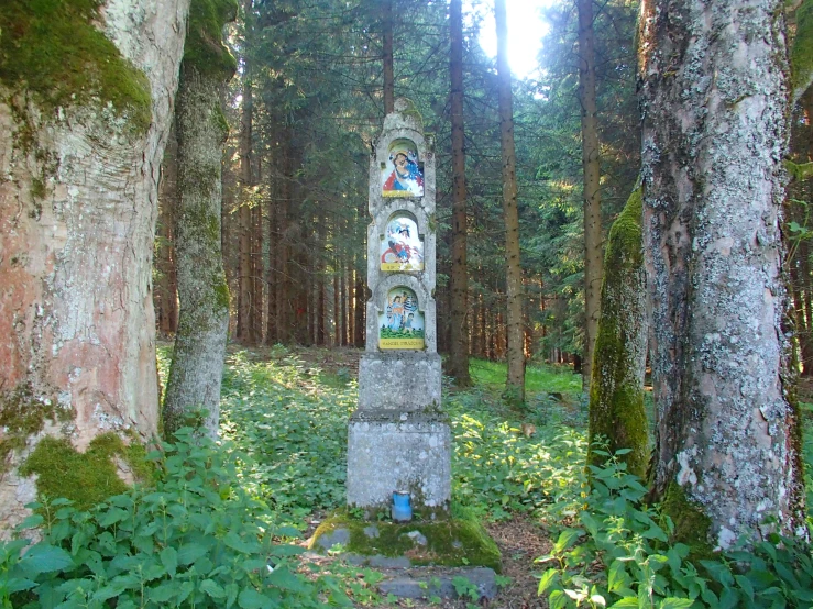 a colorful statue is next to tall trees