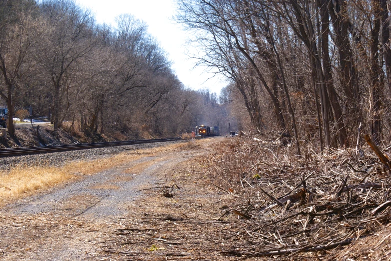 a train rides down a track in the woods