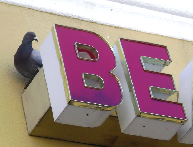 a pigeon is perched on a sign for the company b & f