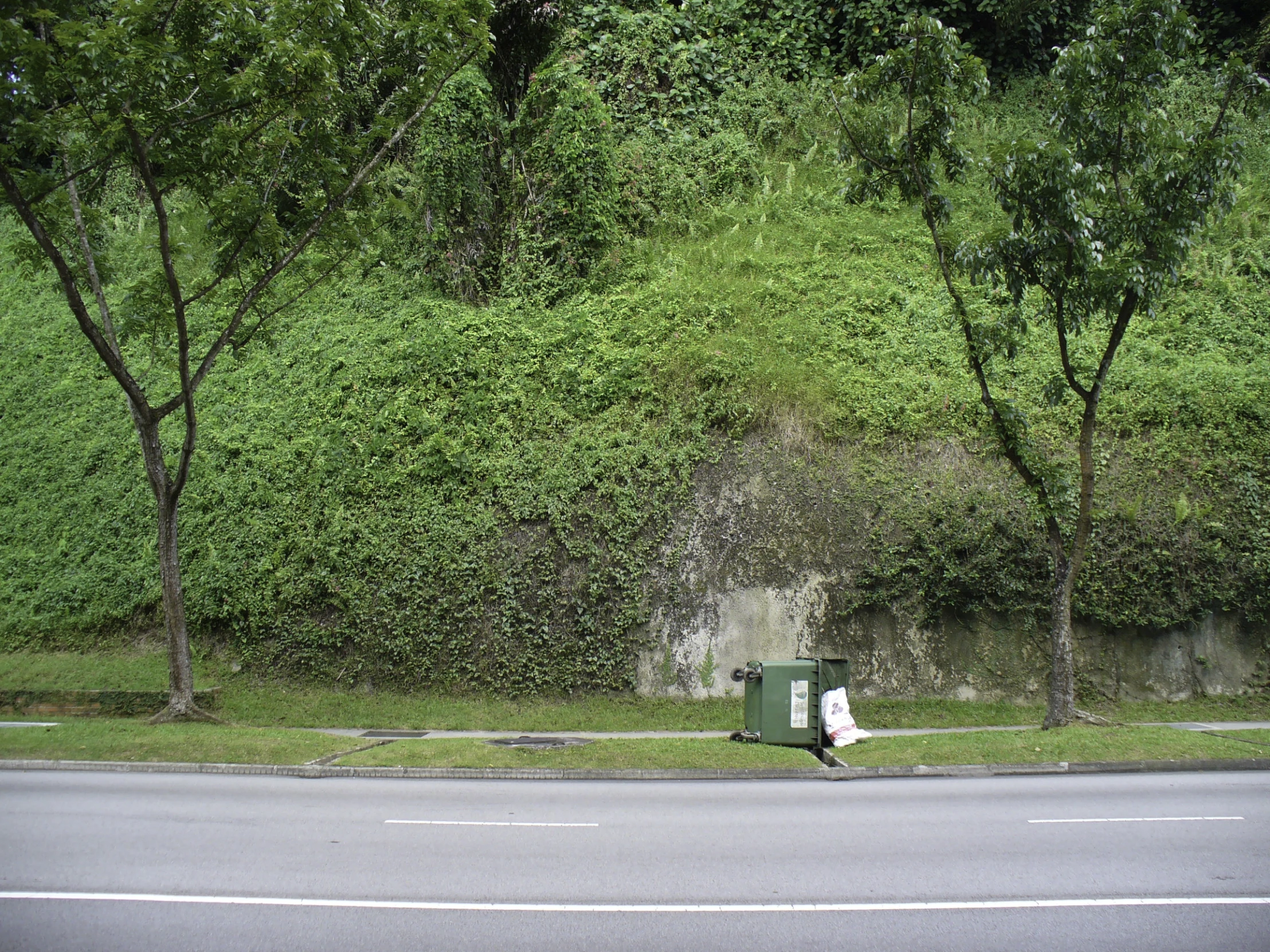 a trash can sitting by the side of a road