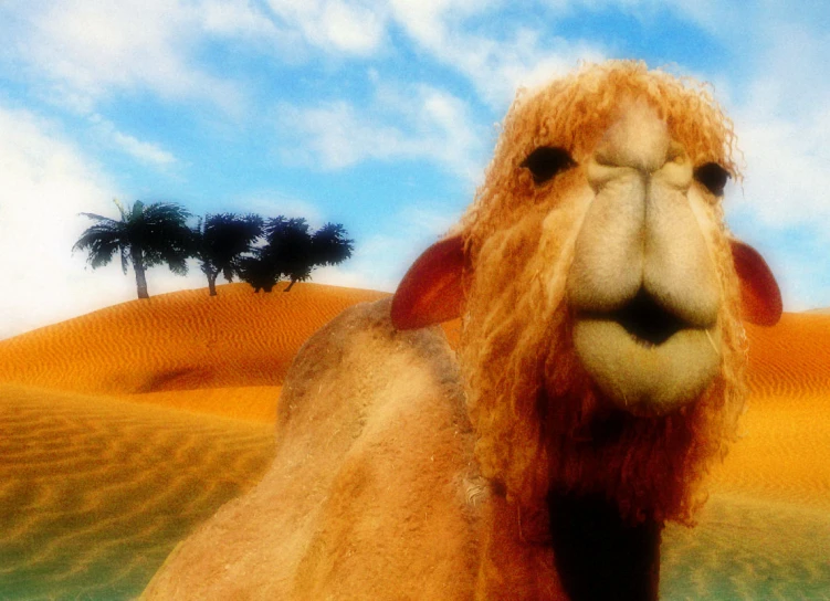 a camel that is standing in the sand
