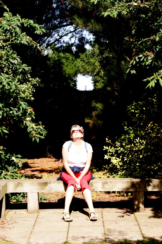 a woman in sunglasses sits on a bench in front of trees