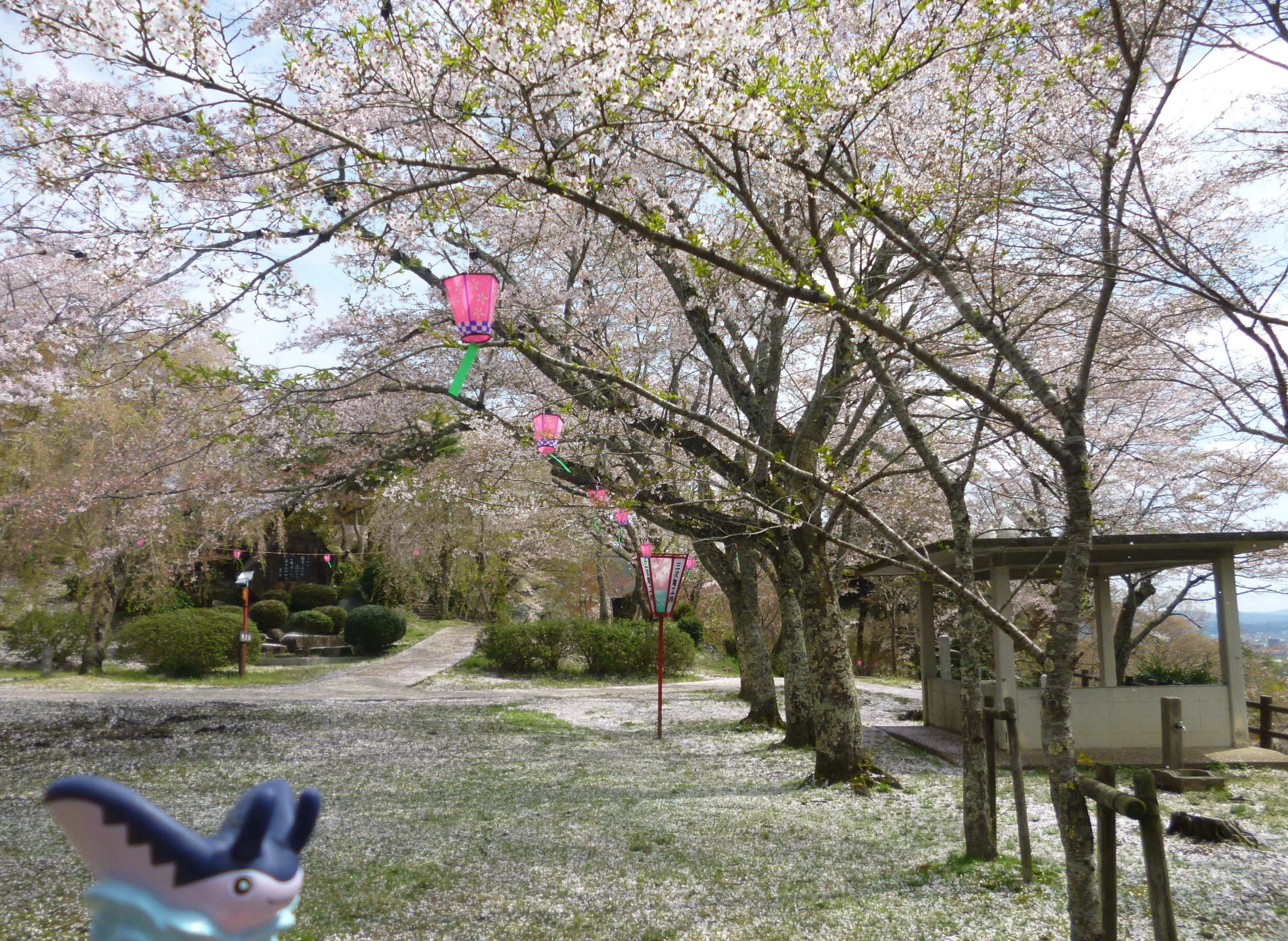 an outside area with a fence and some bushes