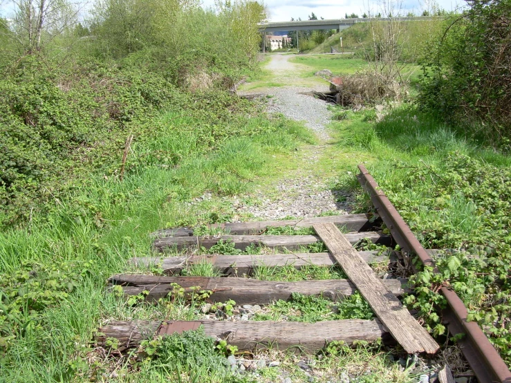 a railroad track near some bushes and trees
