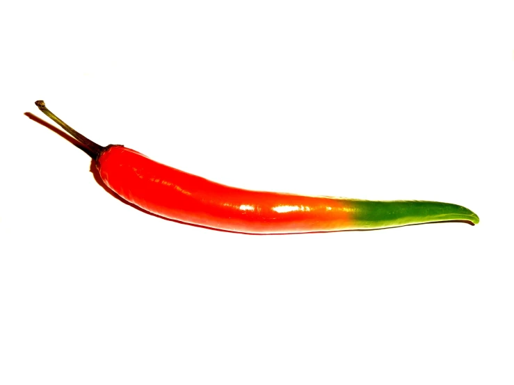 a single red  pepper against a white background