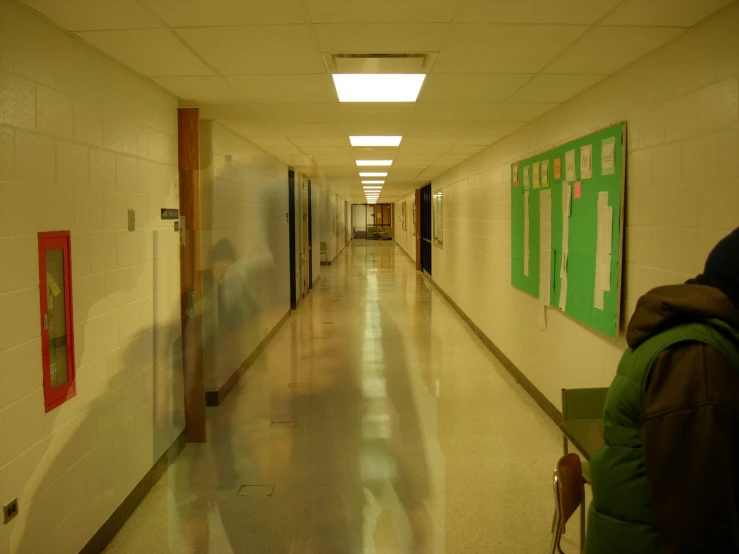 a hallway with people and two dogs looking at pictures