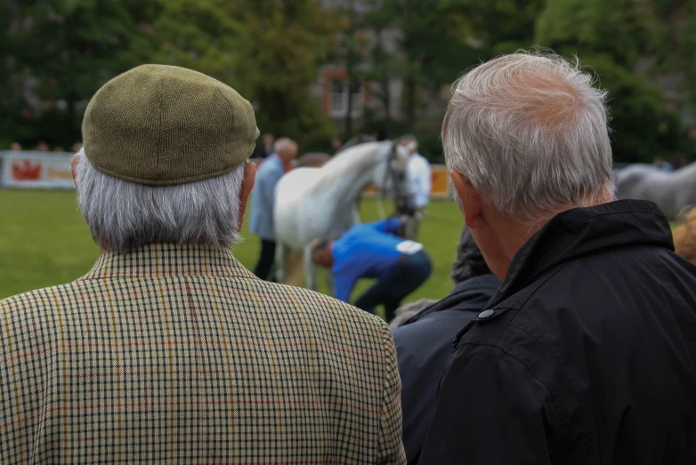 two men watch horses in a field near people