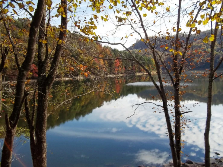 a calm lake surrounded by autumn foliage