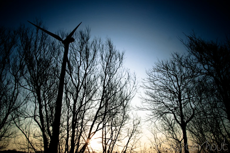 a windmill in the distance, behind some trees