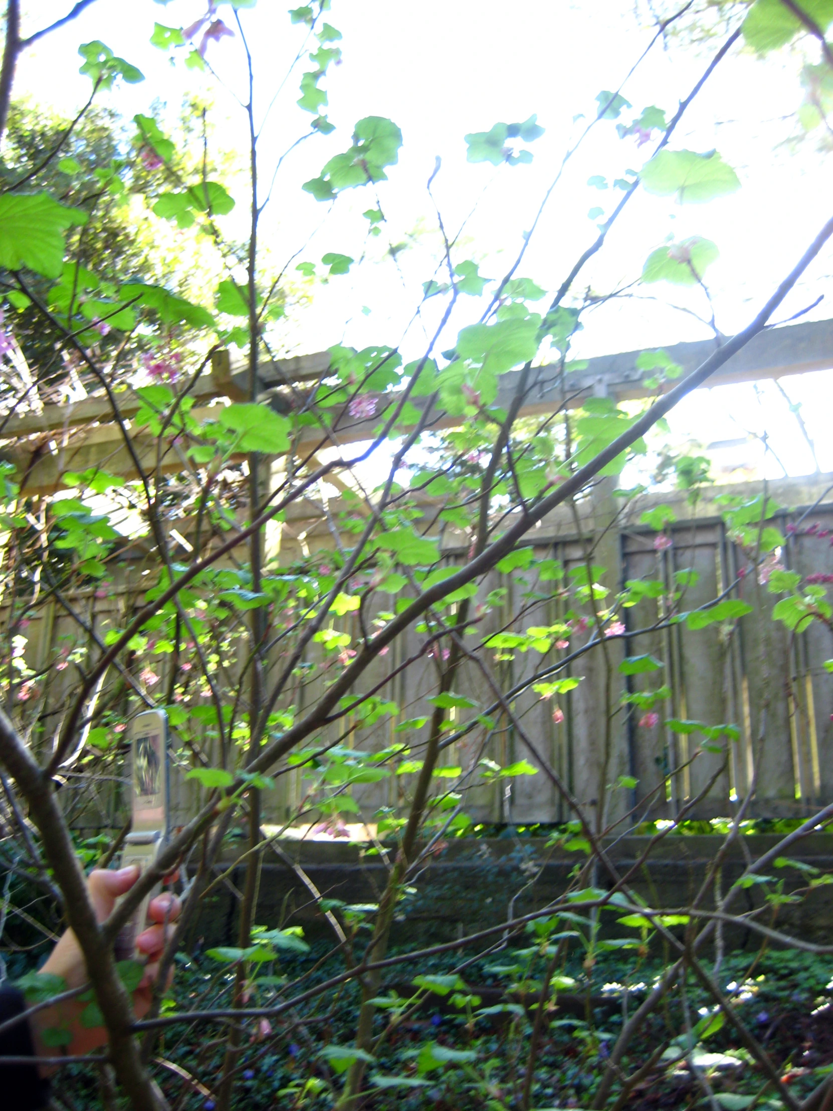 a person sitting on the ground by a tree