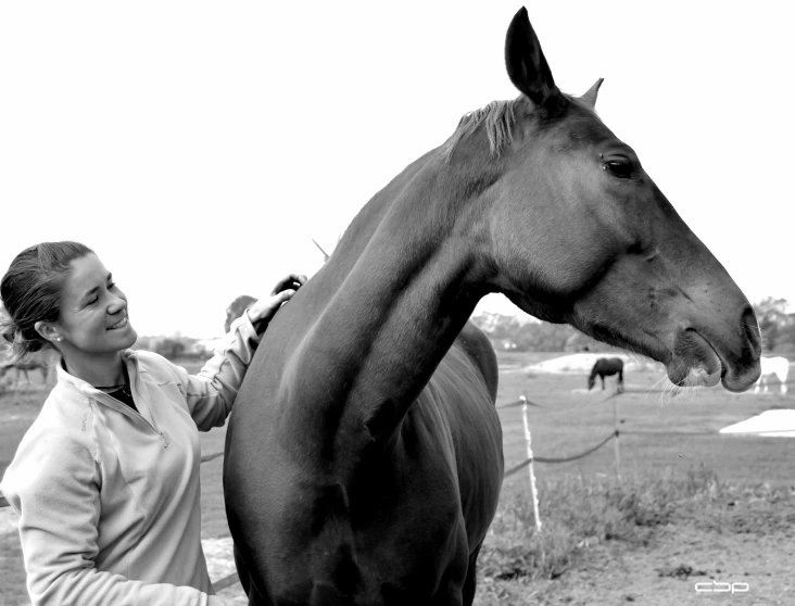 a woman is grooming a horse in a field