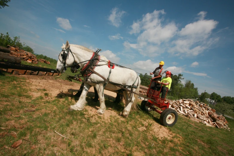 a pair of horses pulling a wagon full of wood