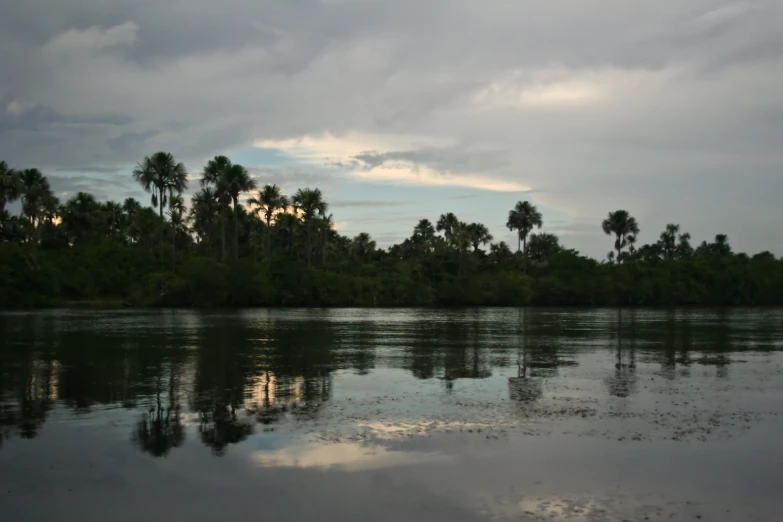 an ocean with water and palm trees on it