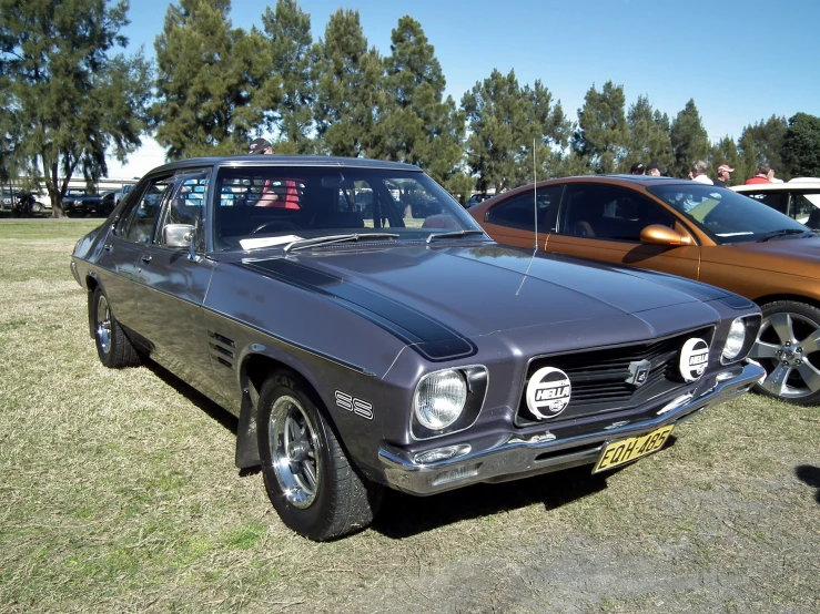 two old cars parked on grass near trees