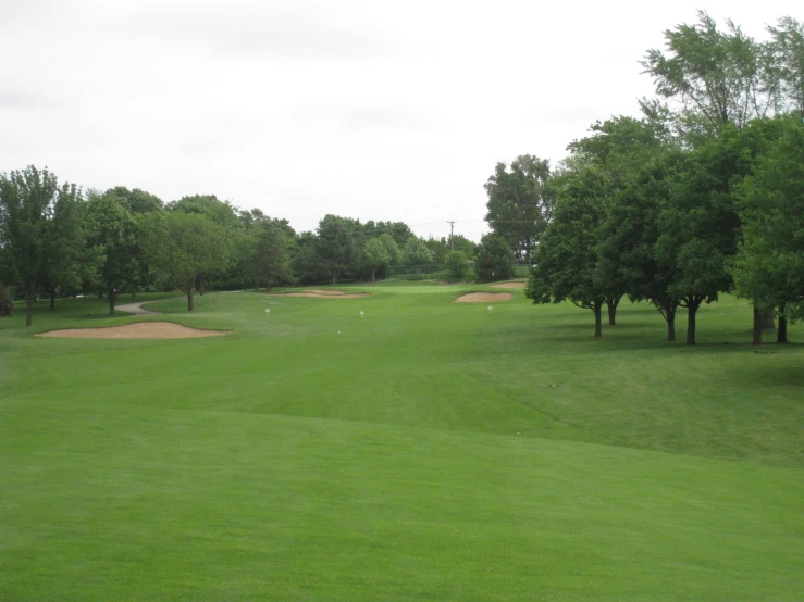 the golf course looks much green and has been made