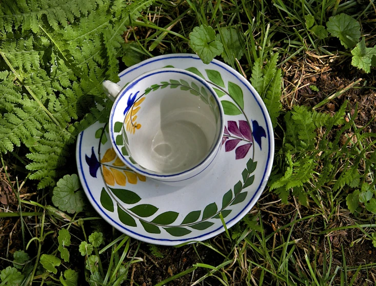 a teacup and saucer sit in the grass