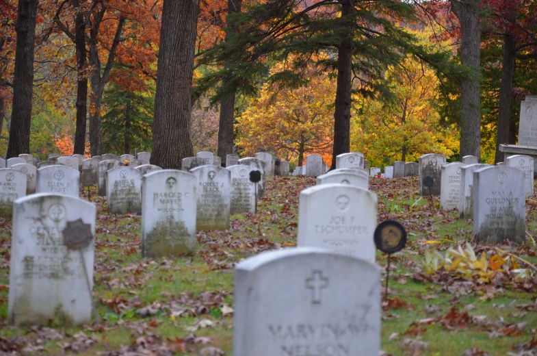 some headstones of various ages are set in the leaves