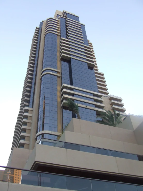 a tall building with a palm tree on top of it