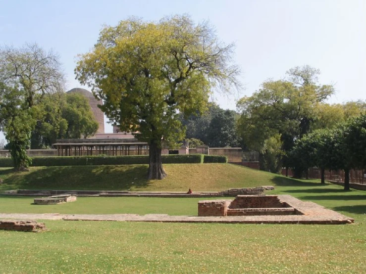 a big grassy area with benches on a sunny day