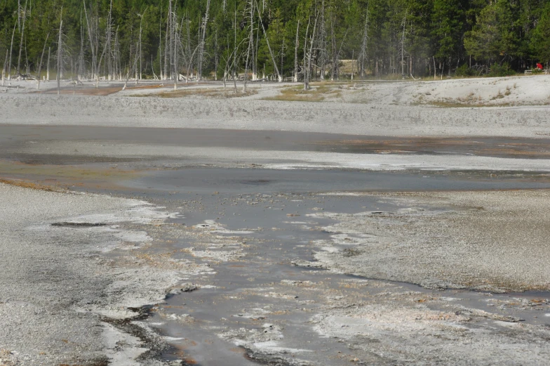 an open area with a muddy road and lots of water