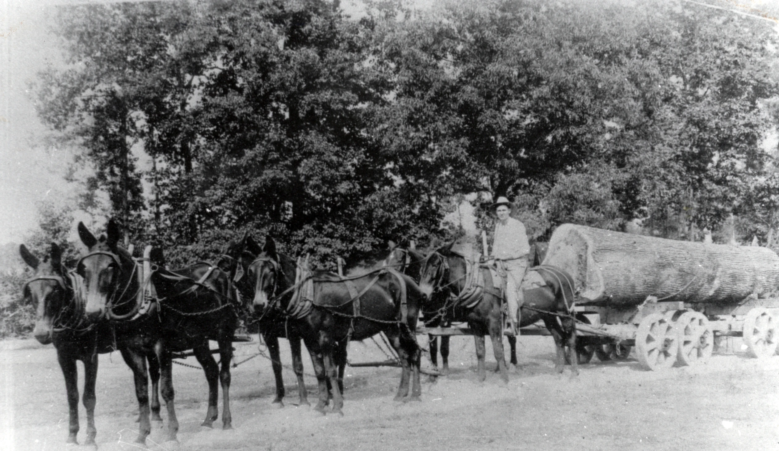 people sitting on a wagon being pulled by horses