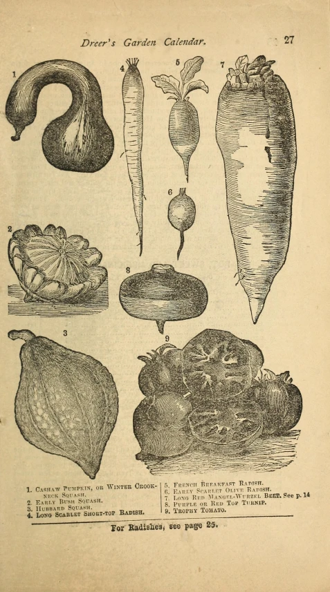 an old book with some pictures of various fruits and vegetables