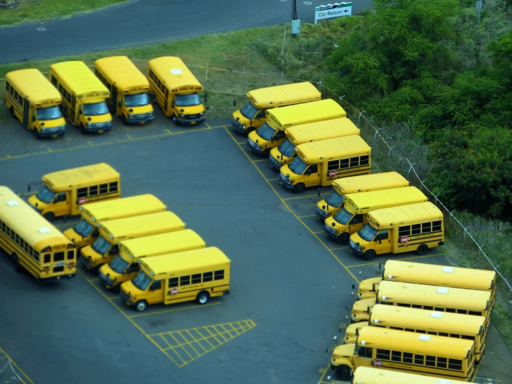 many buses parked in a parking lot on the road