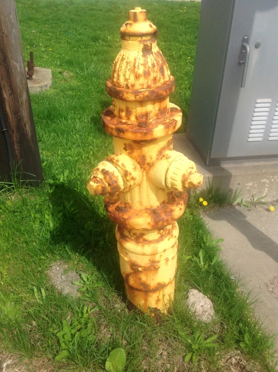 a yellow fire hydrant sitting next to a sidewalk