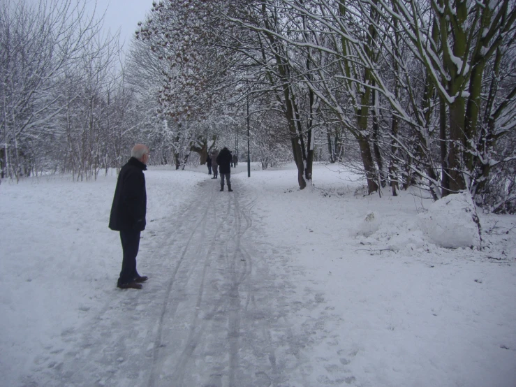 people walking along a snowy path between some trees