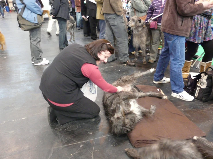 the people are watching a woman put their dog on a mat