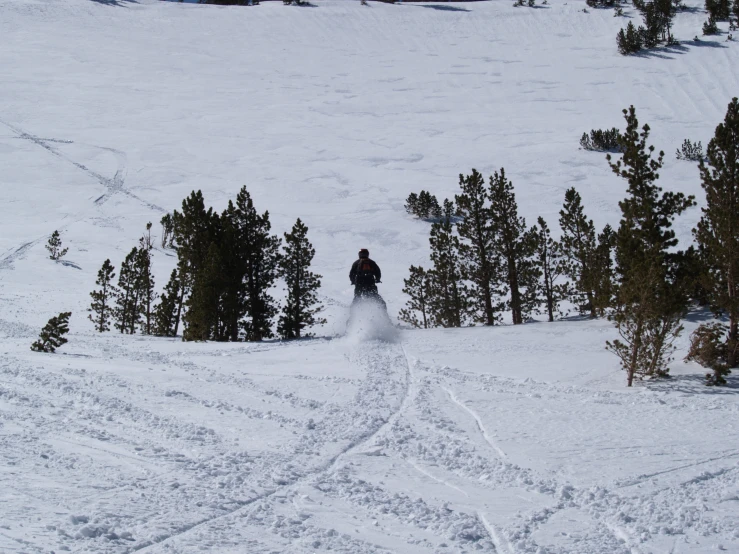 a skier is skiing in the snow with trees