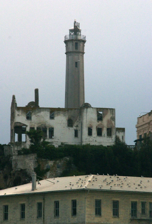 a lighthouse is surrounded by birds and trees