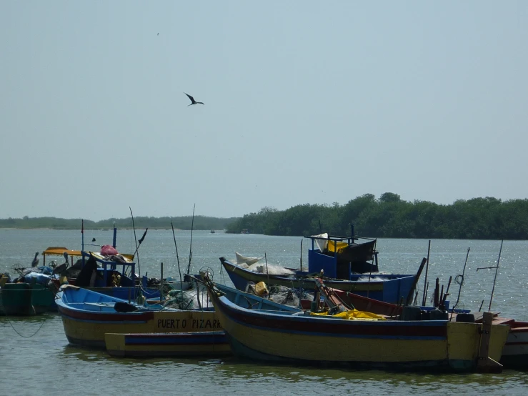 small fishing boats lined up in the water