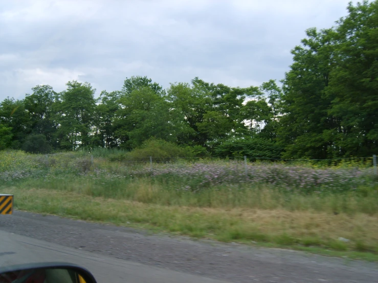 an empty road with flowers and green trees next to it