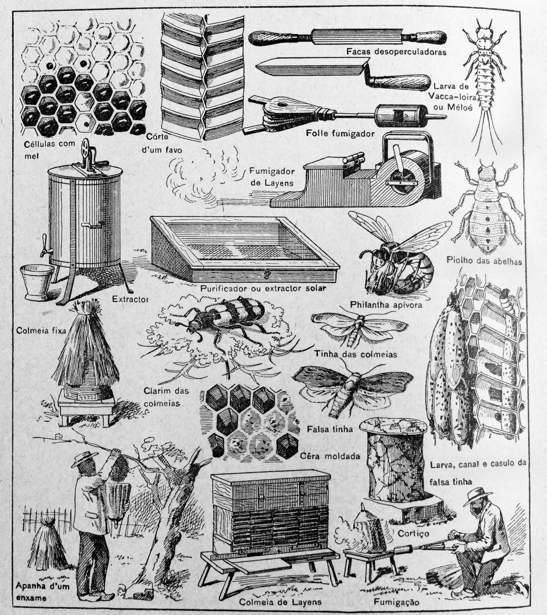 an old illustration of the history of guns and their uses