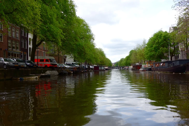 a view of some trees some buildings and a canal