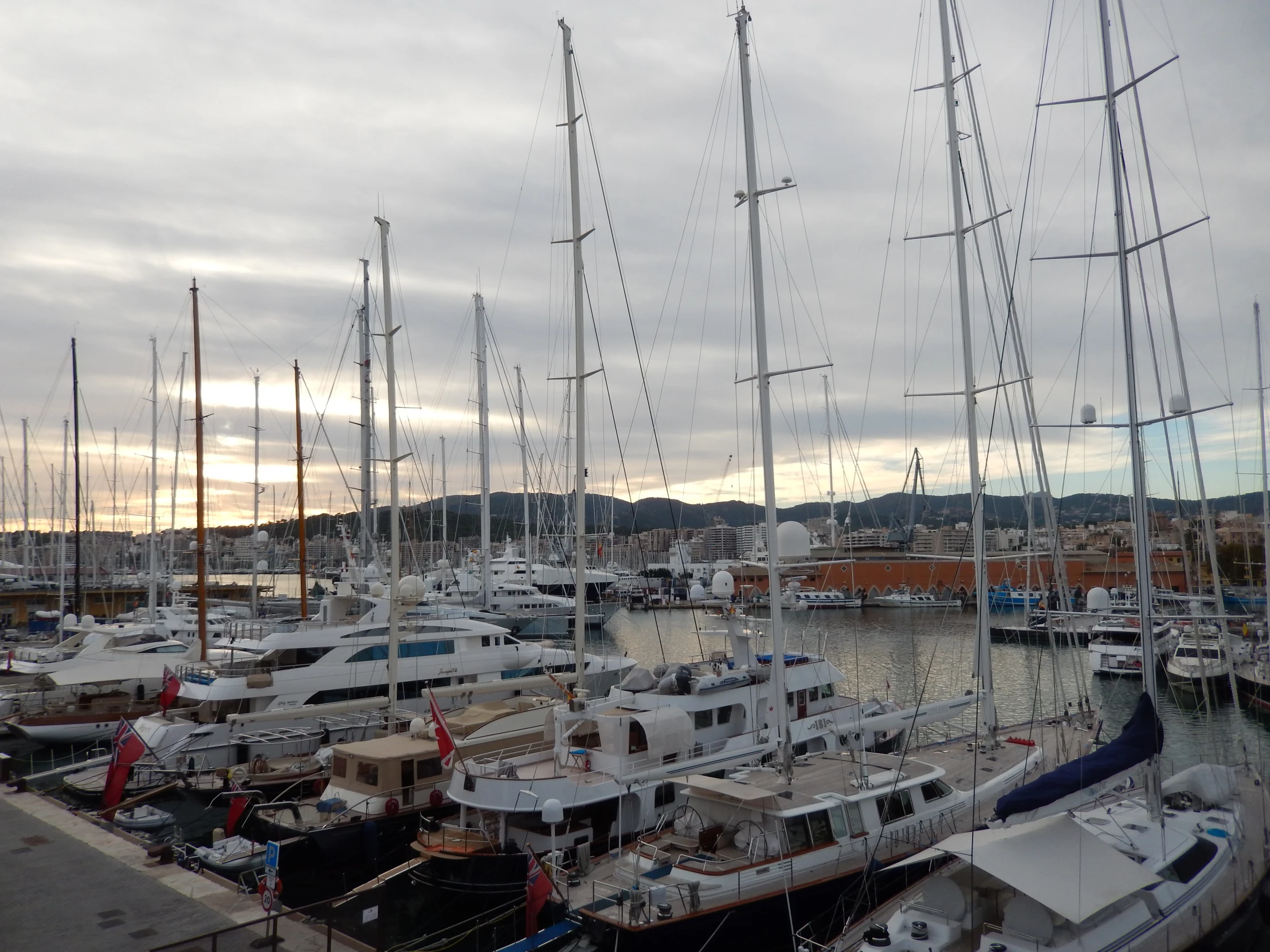 a bunch of sailboats docked in a bay at sunset