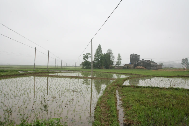 a rainy day with the power lines sticking high above it