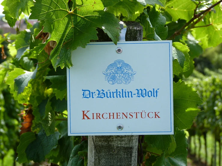 a sign on top of a wood post in front of lush green leaves