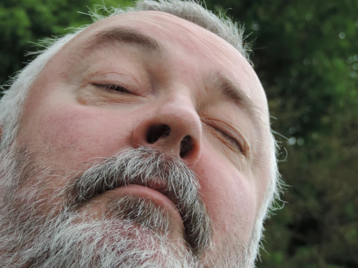 man with light colored beard and moustache with green background