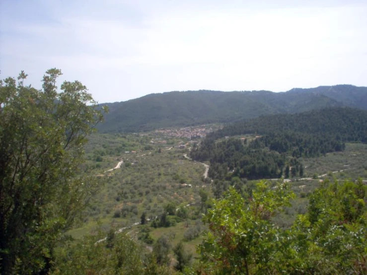 a hill with trees on the side of it and other hills in the background