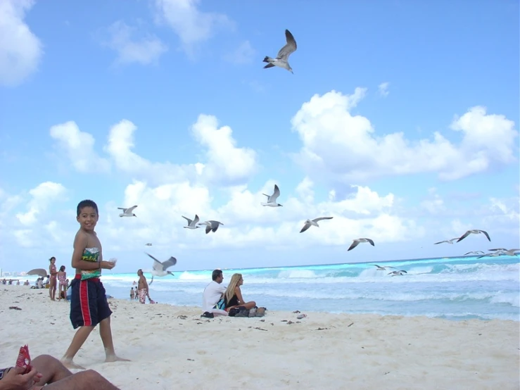 there are many birds flying over the beach