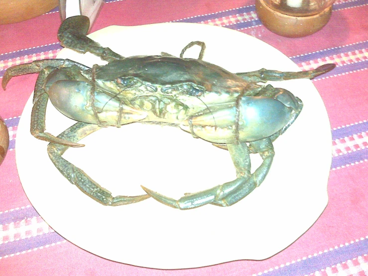 the cooked crab is sitting on the plate