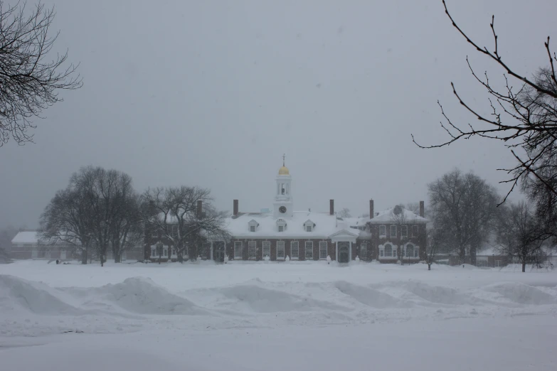 a snowy white building and trees on a snowy day