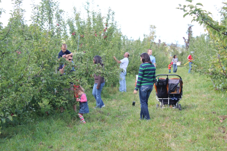 a group of people walking in the middle of a field