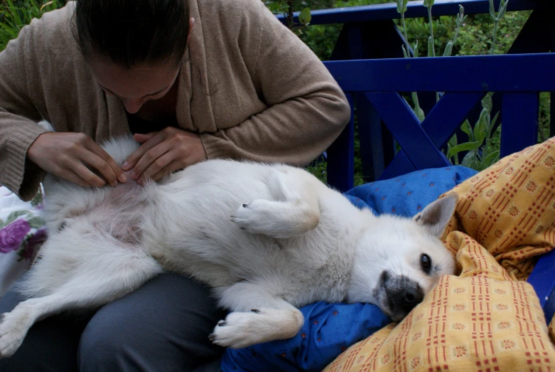 a person on a bench that has a dog sleeping on the lap