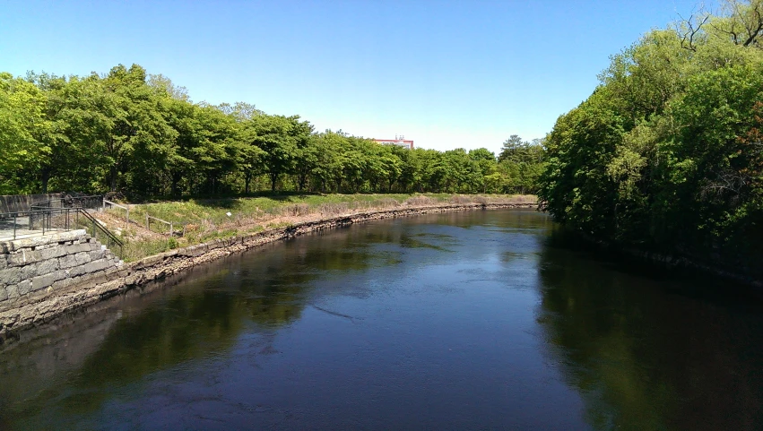 a large river running through a lush green forest