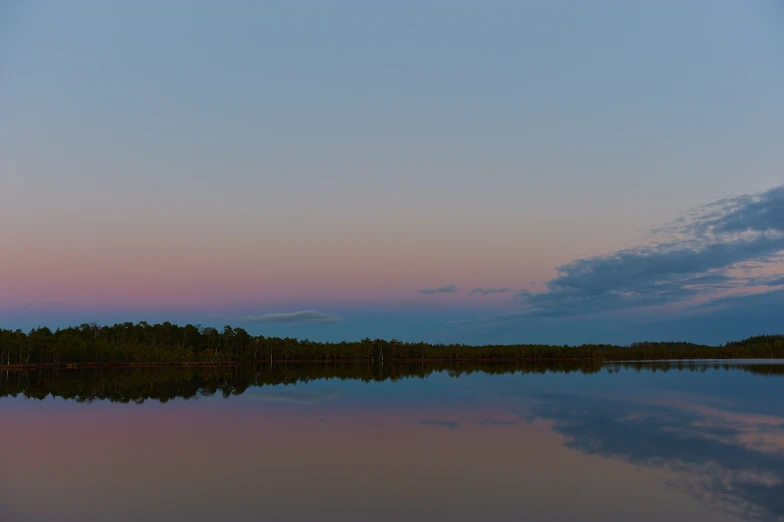 trees reflect in the calm water on a calm lake