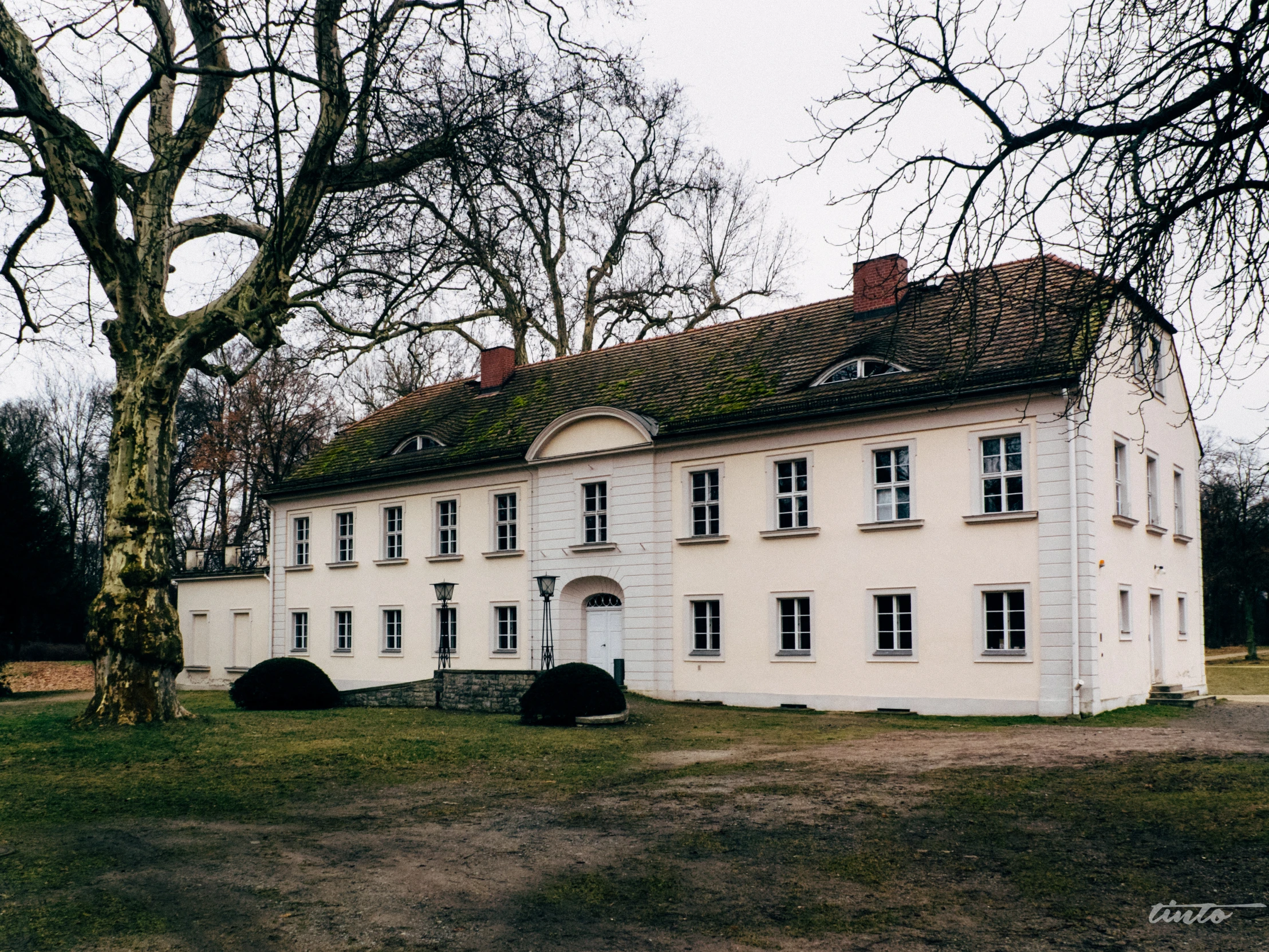 an old building sits next to two huge trees